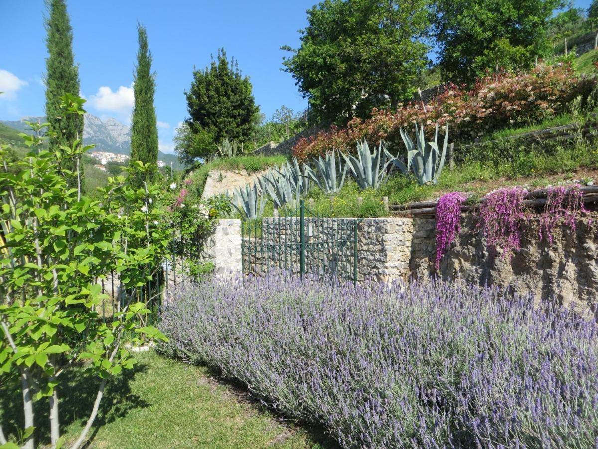 Villa Ancient Estate "Il Trignano" Vietri Exterior foto